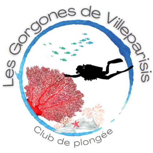 Les Gorgones de Villeparisis (LGV)